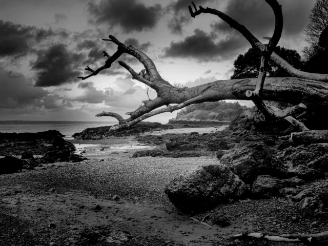Jersey - Le Saie beach where Jack and Willie land after the storm